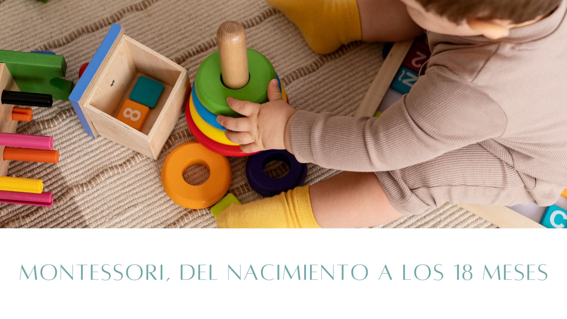 Montessori, del nacimiento a los dieciocho meses